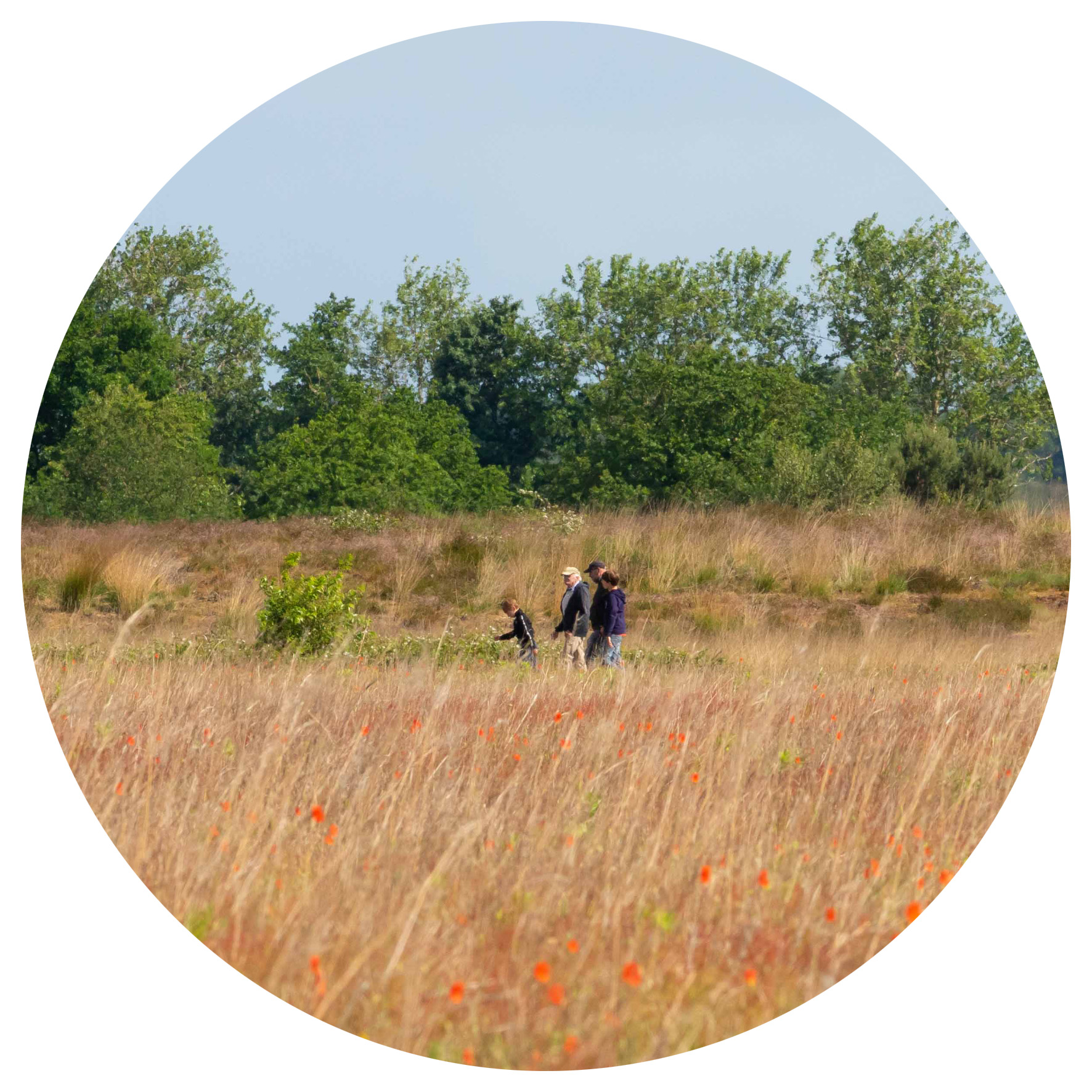 Wandelen